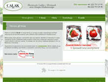 Tablet Screenshot of calaklody.pl